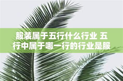 服飾業五行|服装行业五行属什么